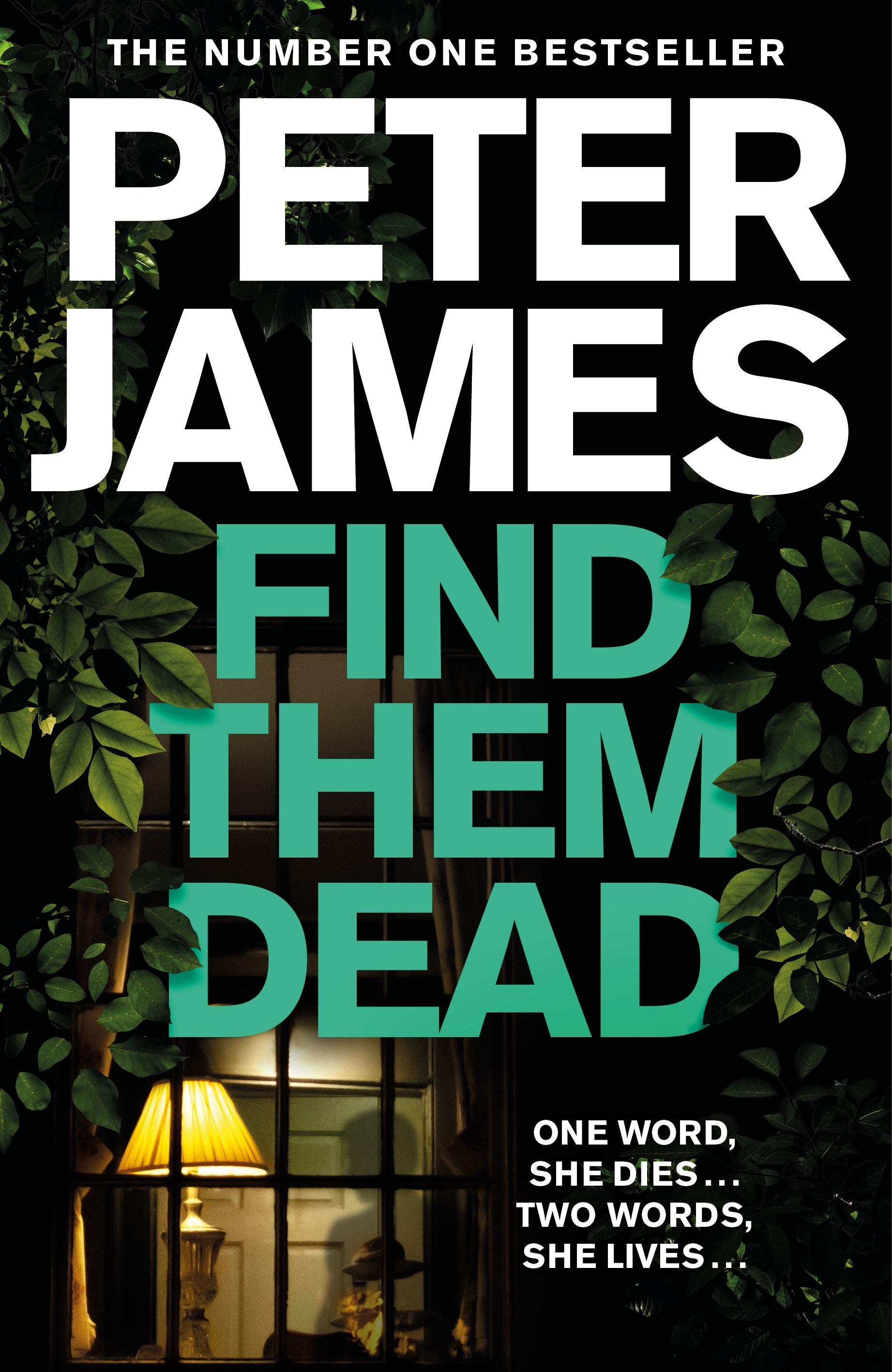 Find Them Dead: A Roy Grace Novel 16 by Peter James