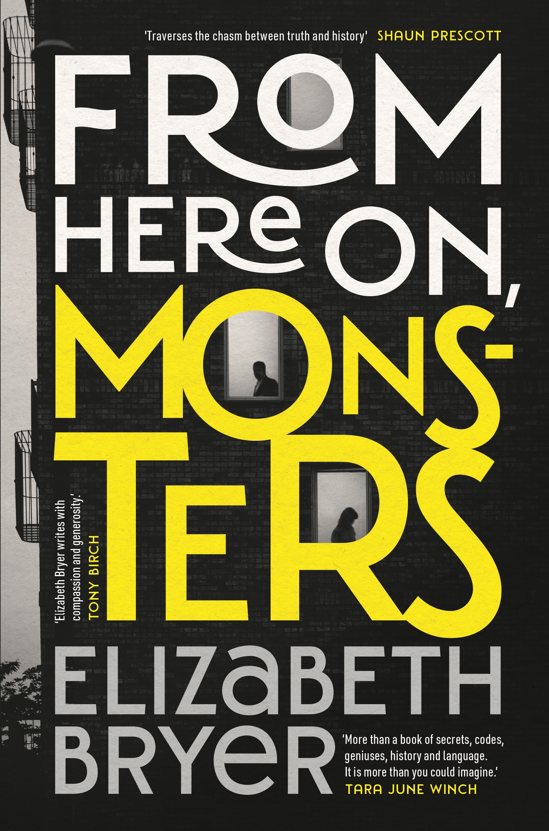 From Here on, Monsters by Elizabeth Bryer