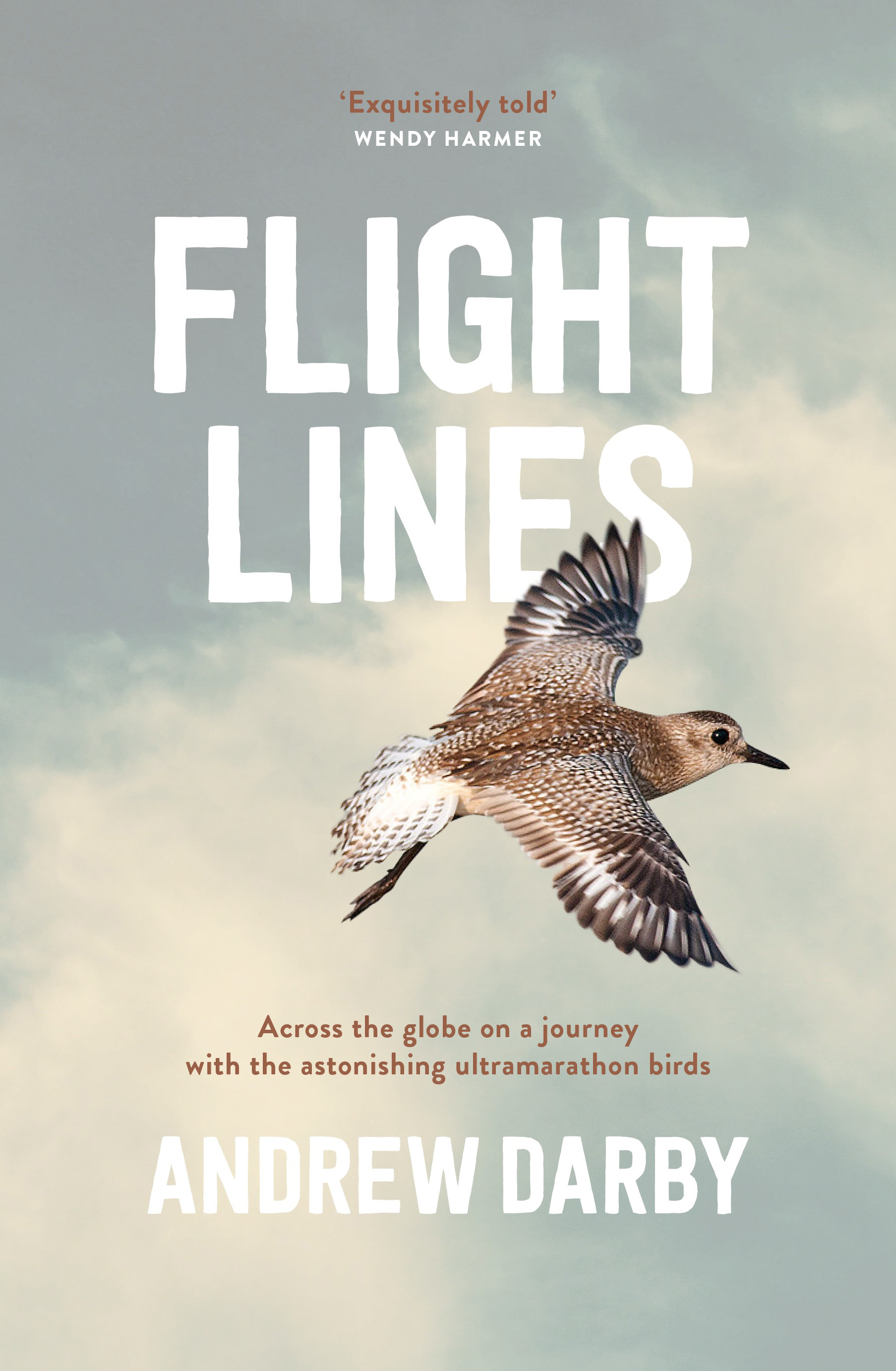 Flight Lines by Andrew Darby