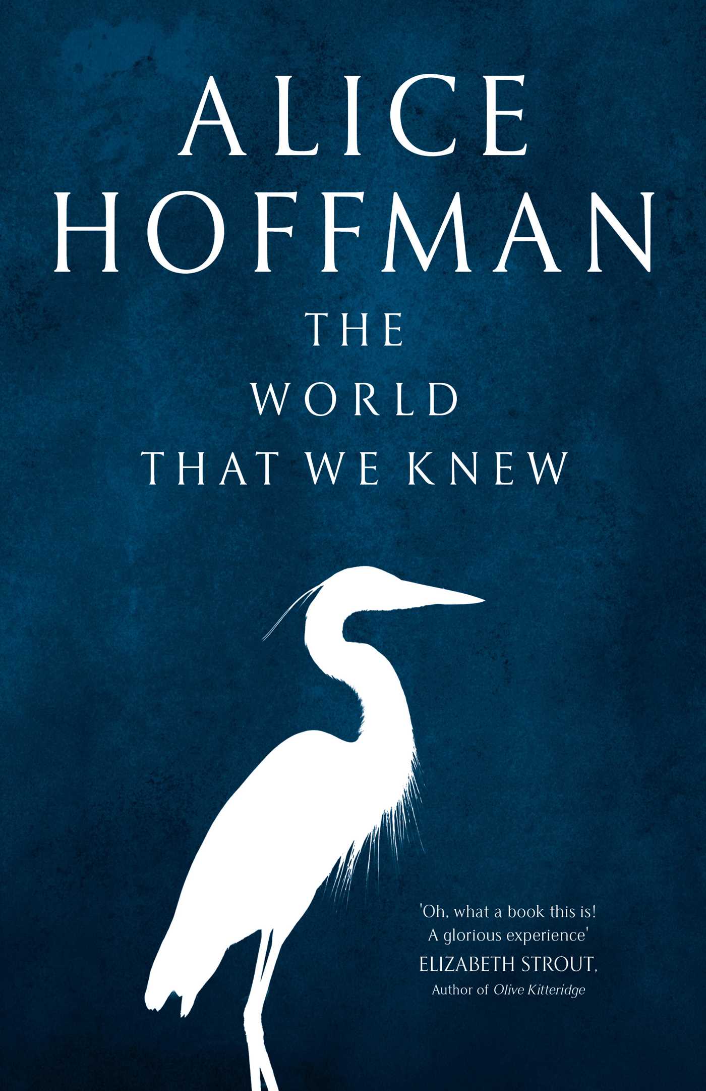 The World That We Knew by Alice Hoffman