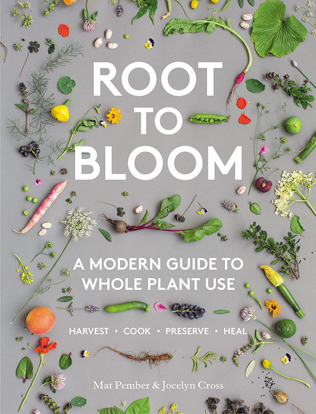 Root to Bloom: A modern guide to whole plant use by Jocelyn Cross & Mat Pember