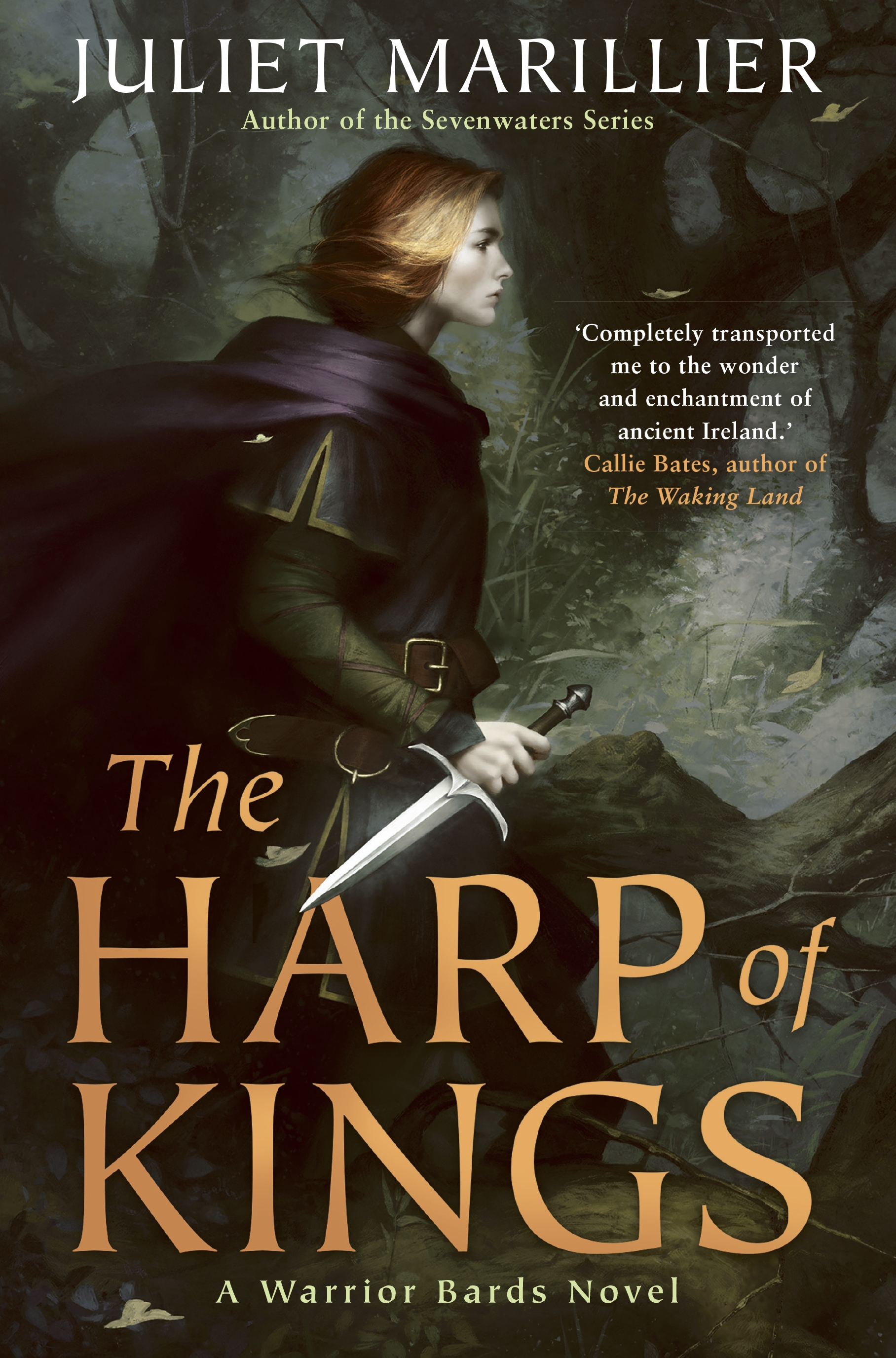 The Harp of Kings by Juliet Marillier