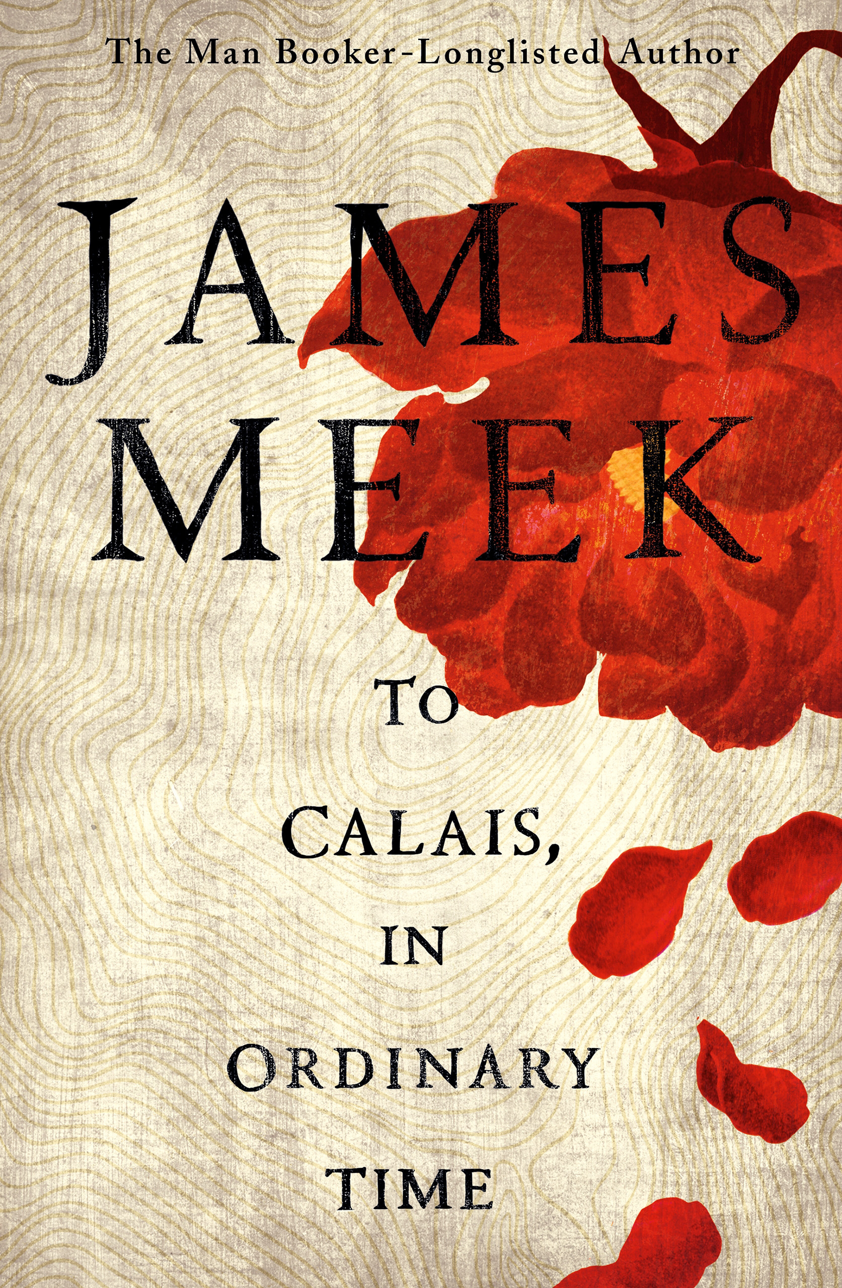 To Calais, in Ordinary Time by James Meek