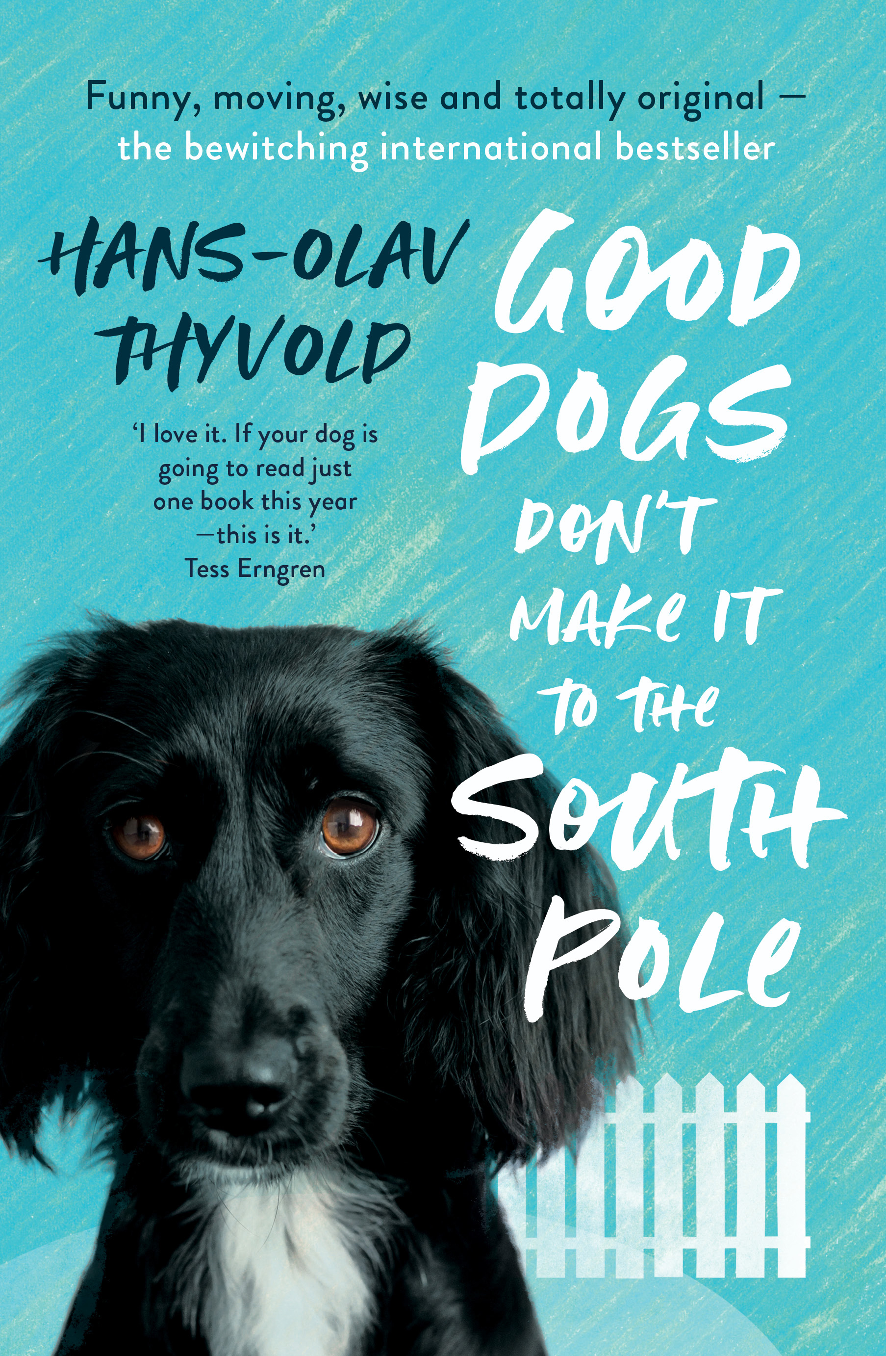 Good Dogs Don’t Make It to the South Pole by Hans-Olav Thyvold