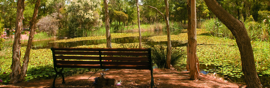 Smithfield-Memorial-Park.jpg#asset:4981
