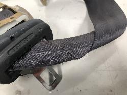 View Auto part Seatbelt/Stalk Toyota Paseo 1996