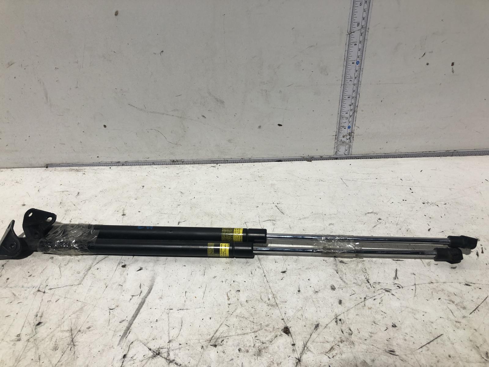 View Auto part Hatch Strut Toyota Prius 2015