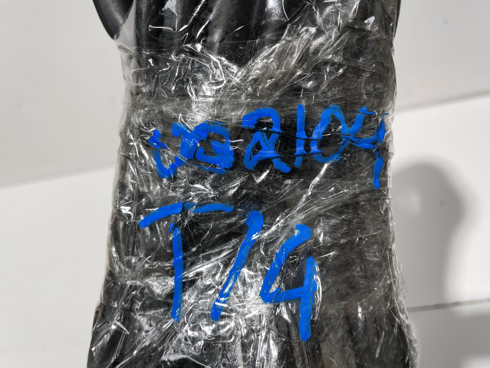 View Auto part Door/Tailgate Seal Toyota Prius 2015