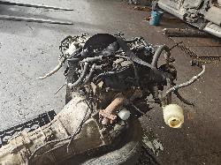 View Auto part Engine Nissan Navara 2004