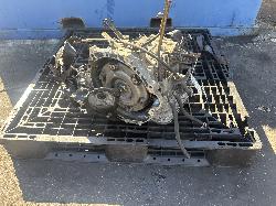 View Auto part Trans/Gearbox Toyota Echo 2004