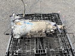 View Auto part Trans/Gearbox Holden Commodore 1991
