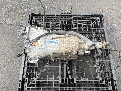View Auto part Trans/Gearbox Holden Commodore 1991