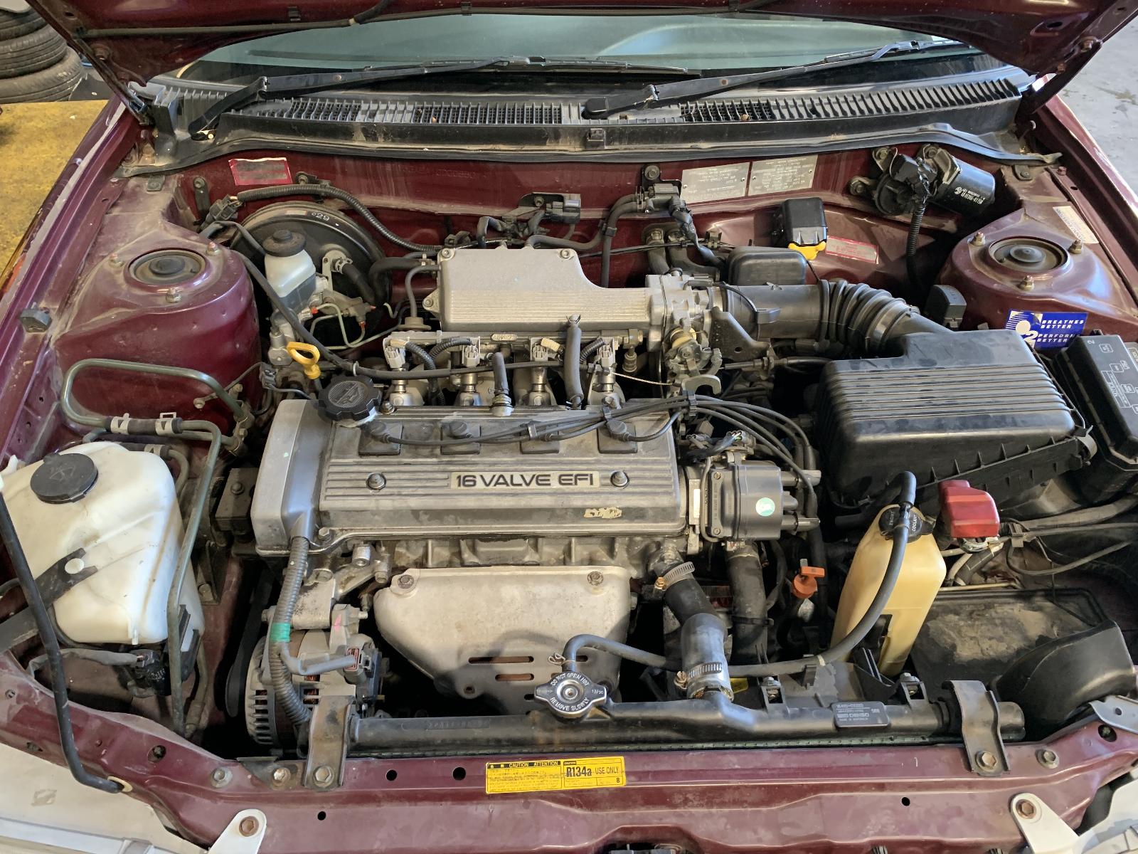 View Auto part Seatbelt/Stalk Toyota Corolla 1997