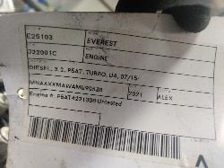 View Auto part Right Front Strut Ford Everest 2021