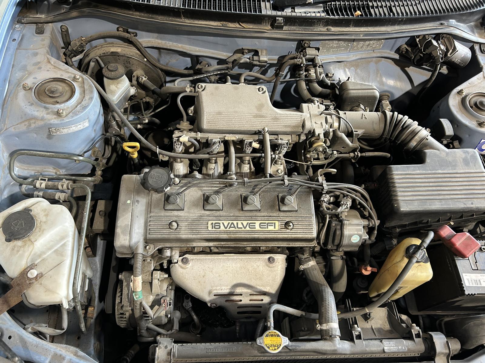 1998 Toyota Corolla Left Rear Wnd Reg/Motor View Auto part Left Rear Wnd Reg/Motor Toyota Corolla 1998