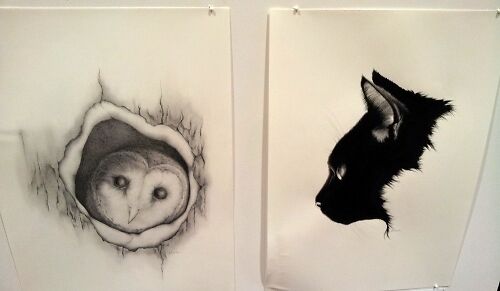 Rhiannon Mowat, ‘Barn Owl’ and ‘Kitten’.