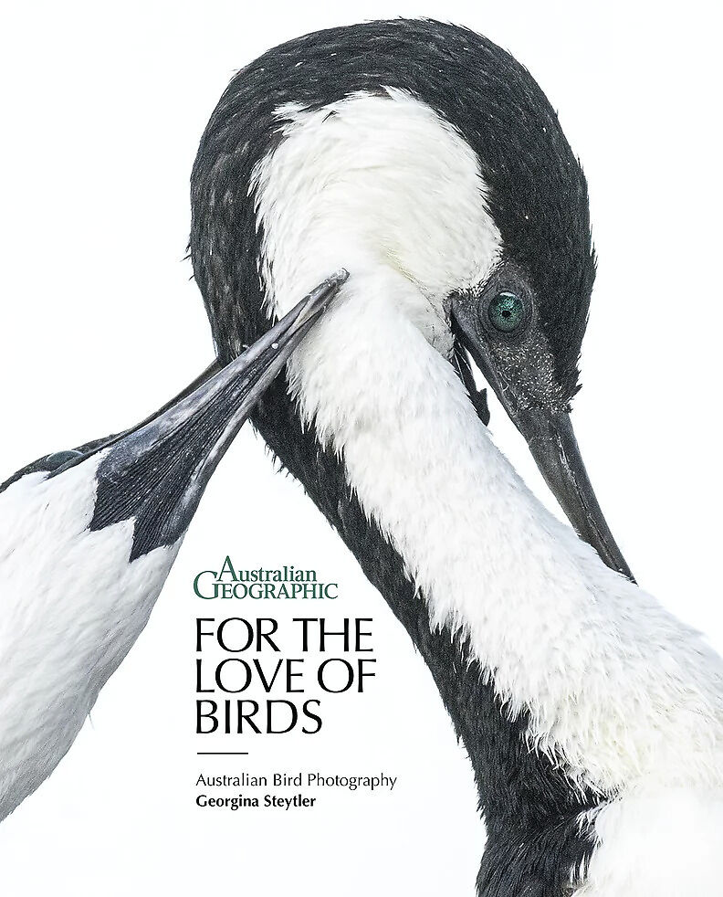 bird photography book