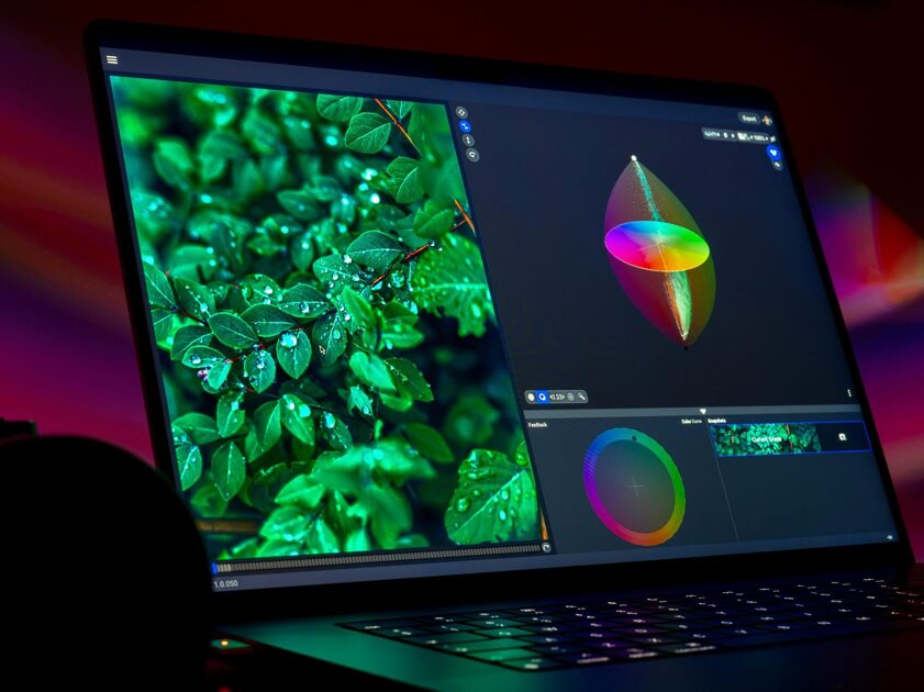 A Primer on Display Technologies for Creatives in 2024 | Image Science