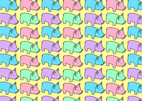 Aleisha Earp -Pigs