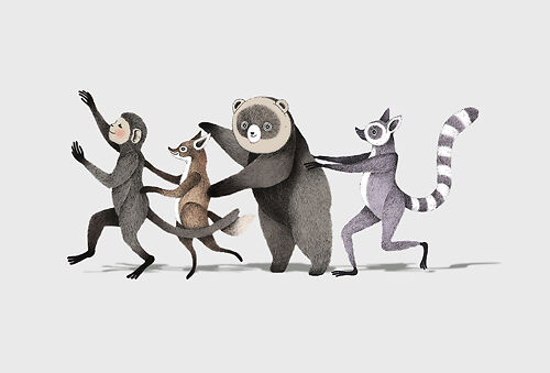 Conga Line 2017