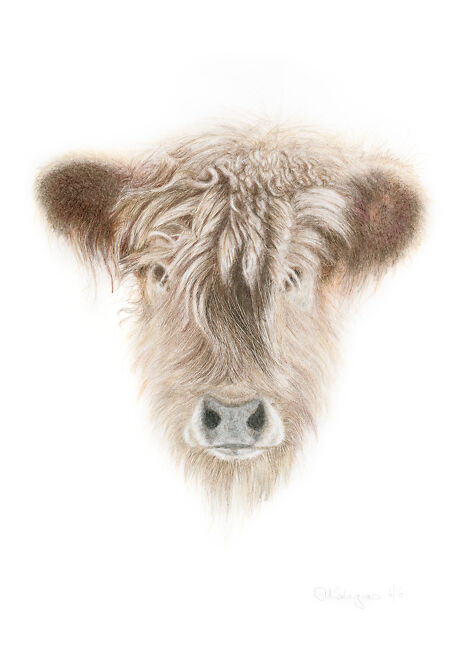 Aviva Kalagas Cow
