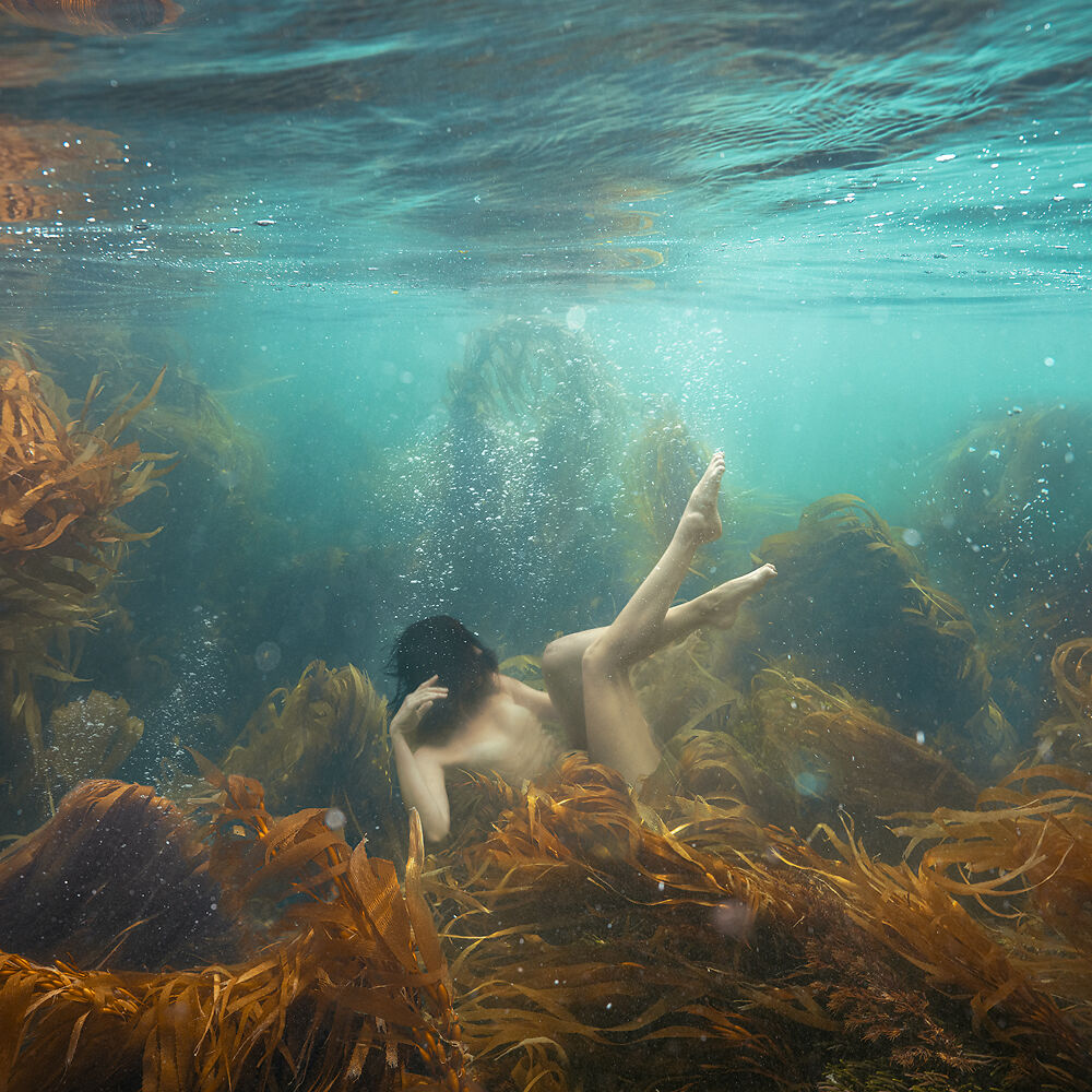 Beth Mitchell - Kelp Forest