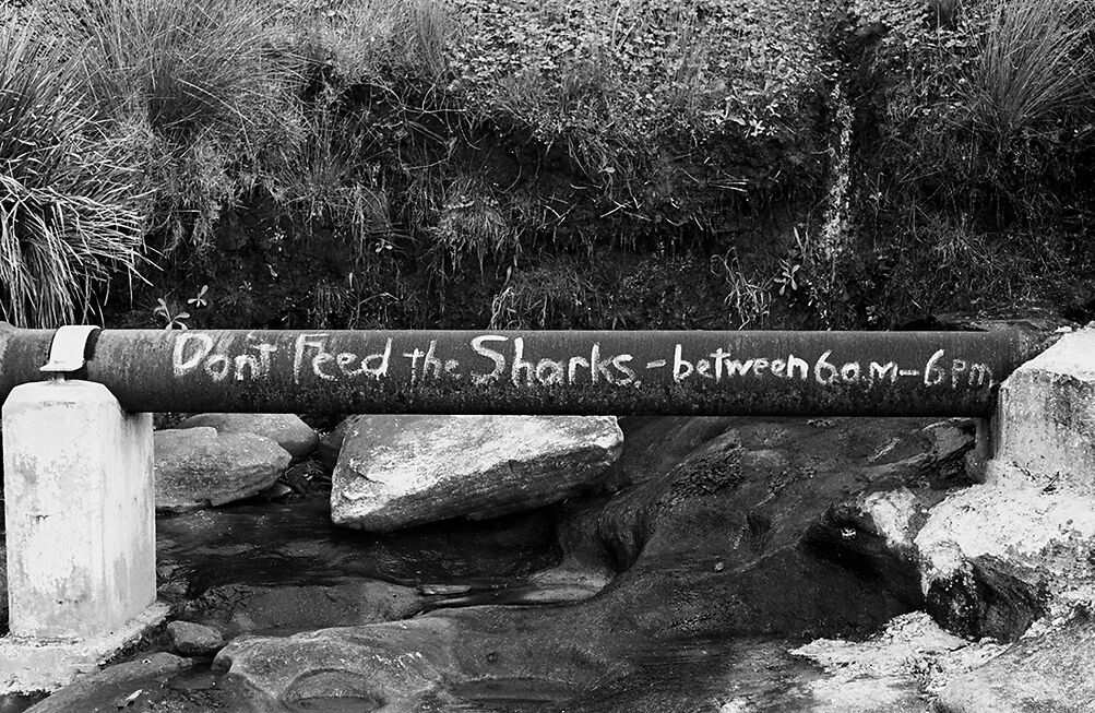Shark Sign, Sandshoes, 1963