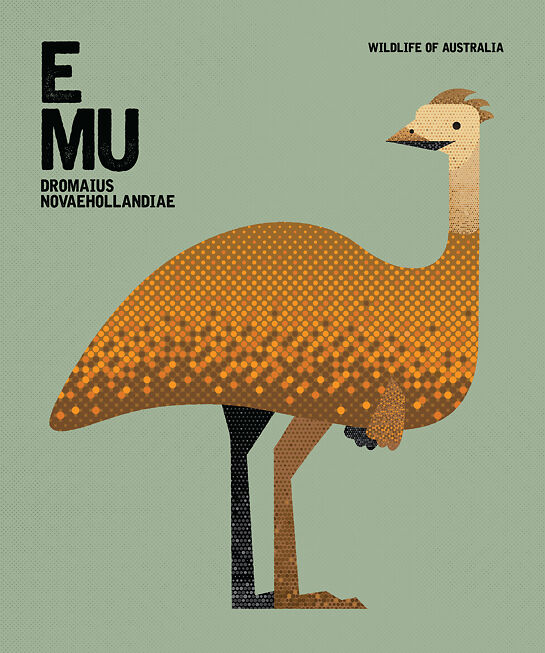 Chaun Soh Emu