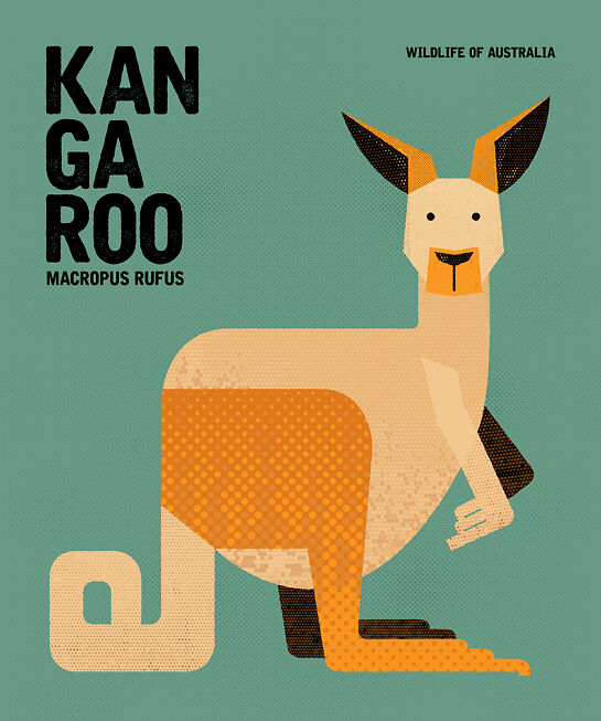 Chaun Soh Kangaroo