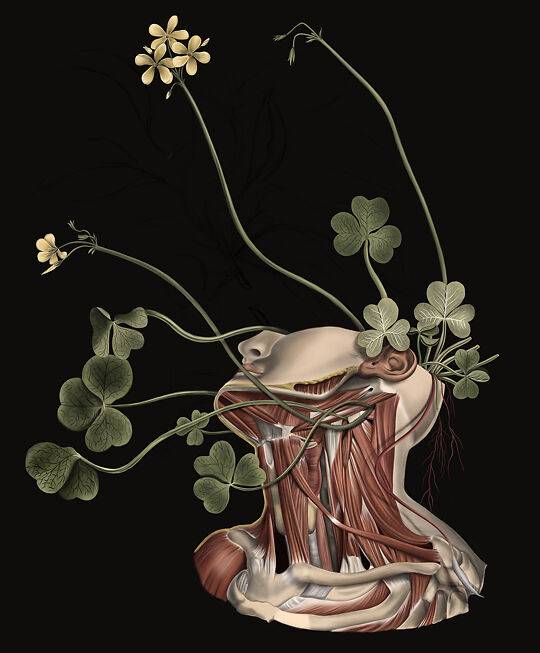 Wasted Mind - Chloe Shao