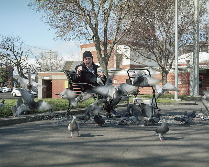Untitled, from the series Citizens of the Park, 2017