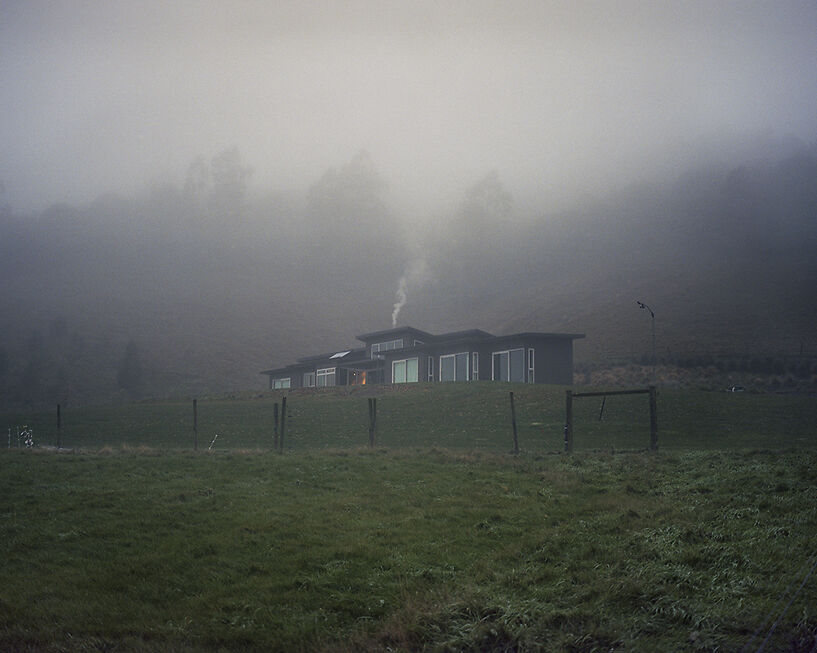 Untitled, from the series The Winter Garden, 2015