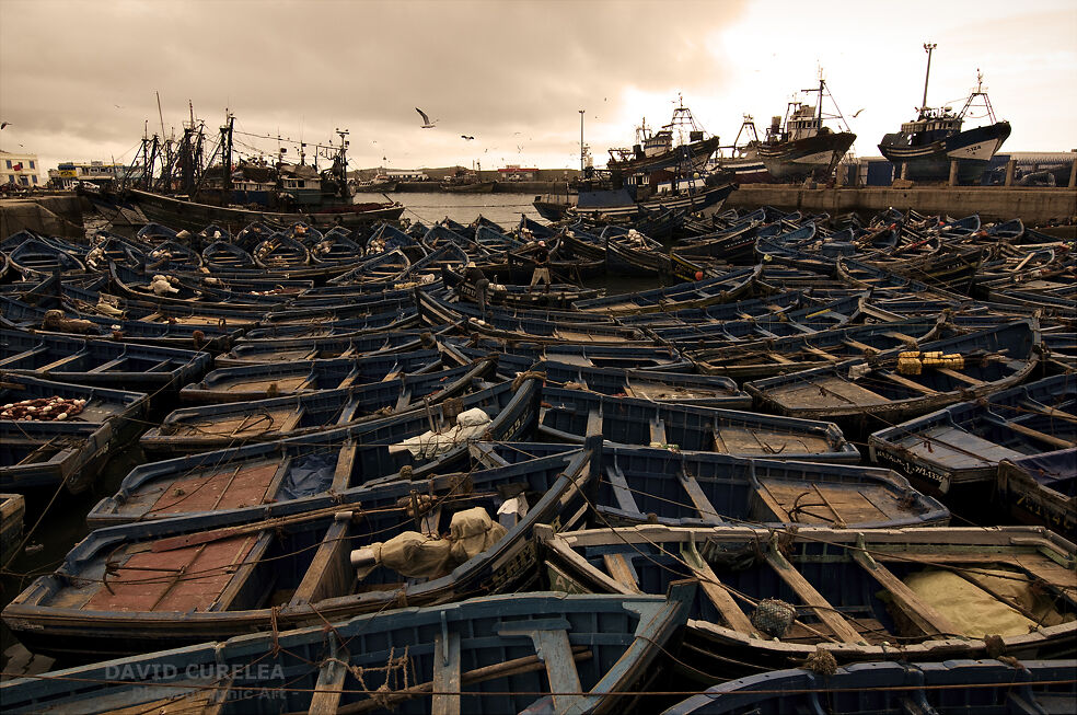 Morocco Essaouira