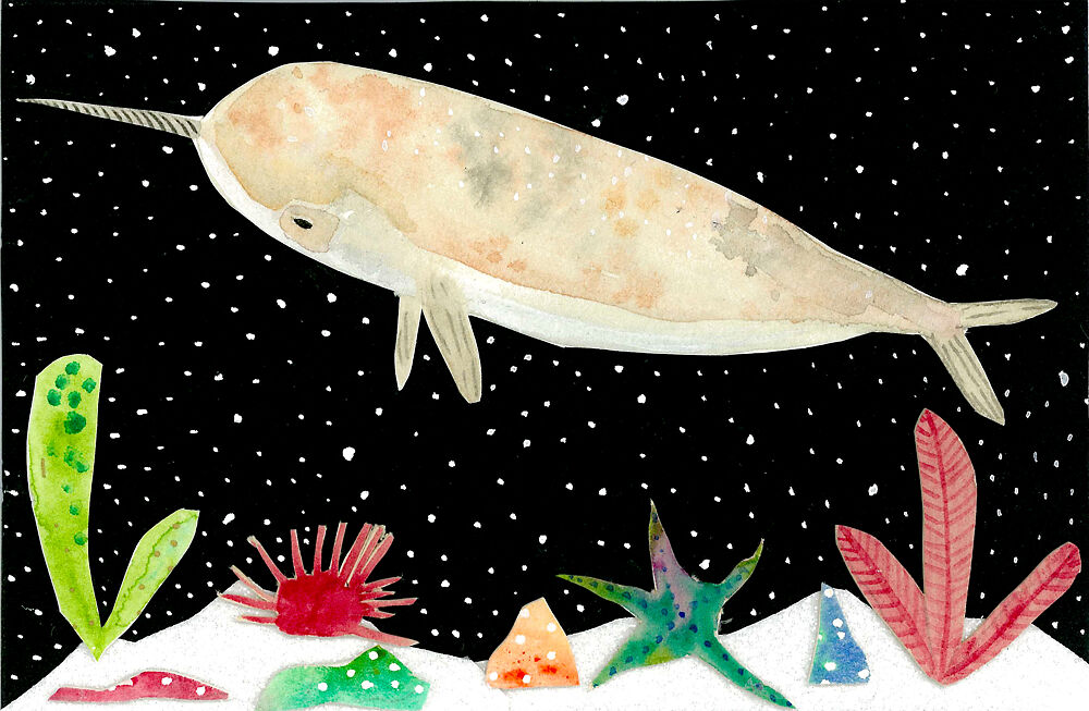 Erin Greer Narwhale