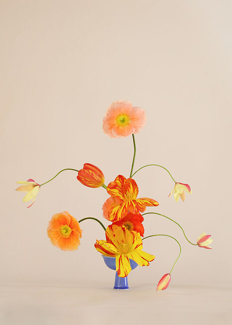 Hattie Molloy