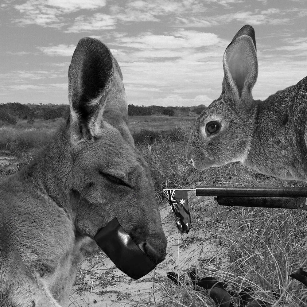 Untitled (Australians all let us rejoice for we are young and free), 2017