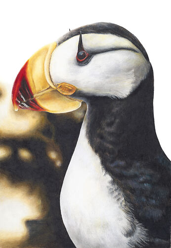 Patient Puffin - Helen Grey