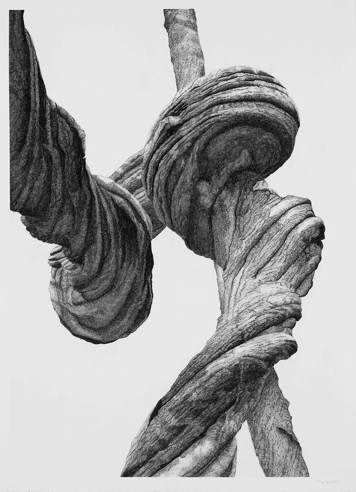 Kathryn Ryan 'Intertwined' Charcoal on Paper 72 x 51cm 2024