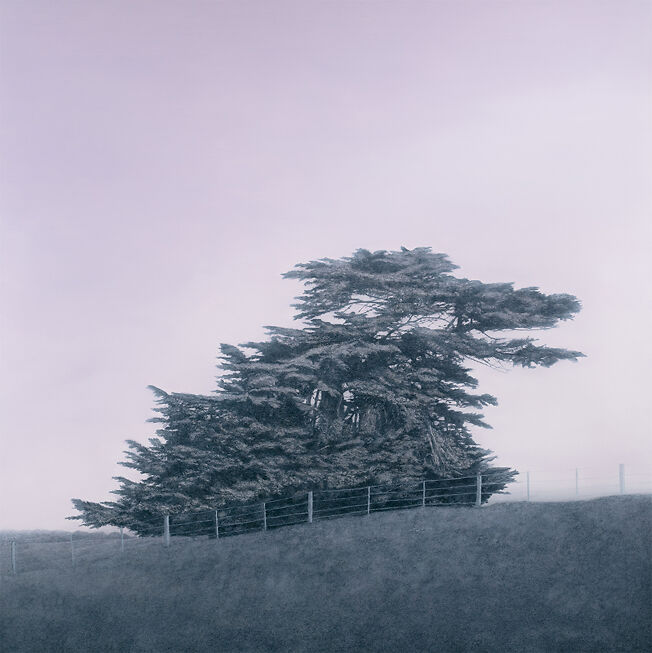 Kathryn Ryan 'Solid Ground' Oil on Linen 153 x 153cm