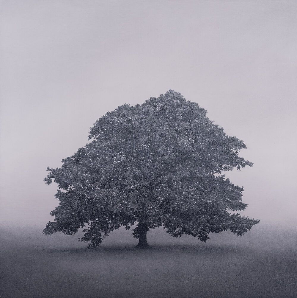 Kathryn Ryan 'Still Light' Oil on Linen' 76 x 76cm 2023