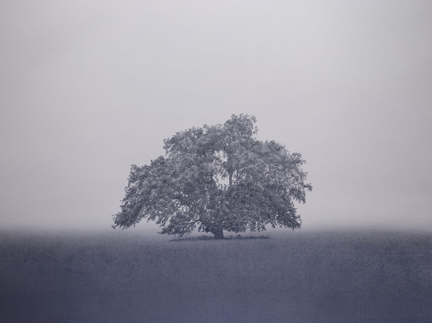 Kathryn Ryan 'Still Point' Oil on Linen 137 x 183cm 2023