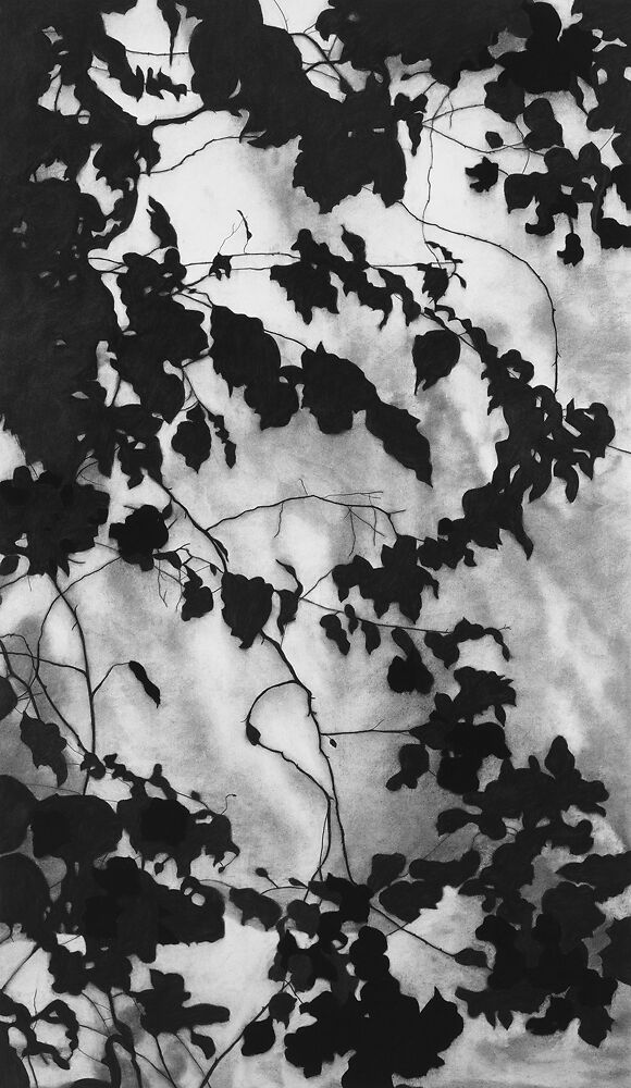 Kathryn Ryan 'Bastikiya' Charcoal on Paper 107 x 63cm