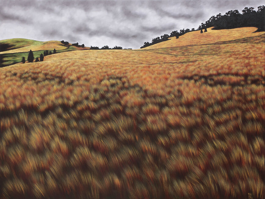 Karen Standke - Pyrenees Landscape I Sabans Paddock At Mrangalli