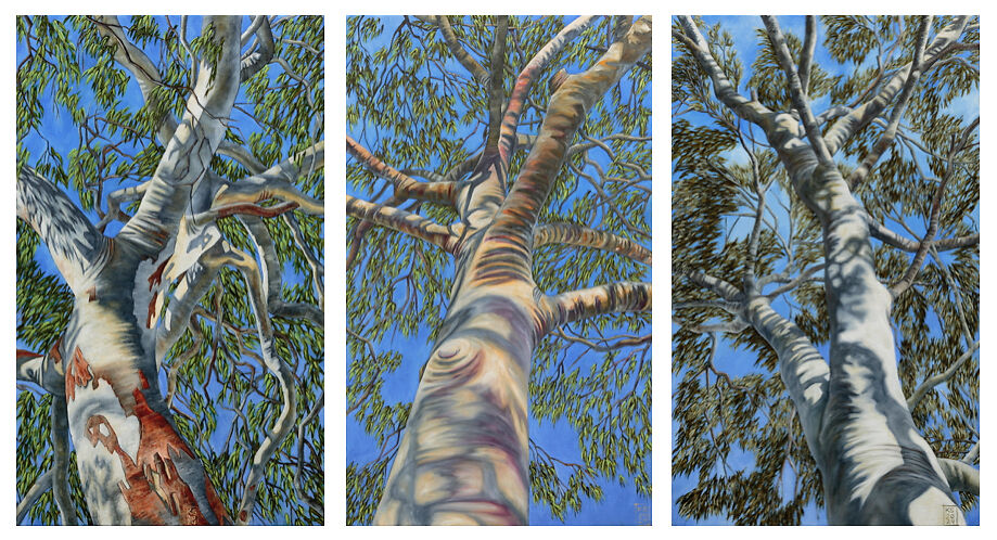 Karen Standke, Arbor 5,6 and 7, 46 x 77cm each, 2024, Oils on Linen