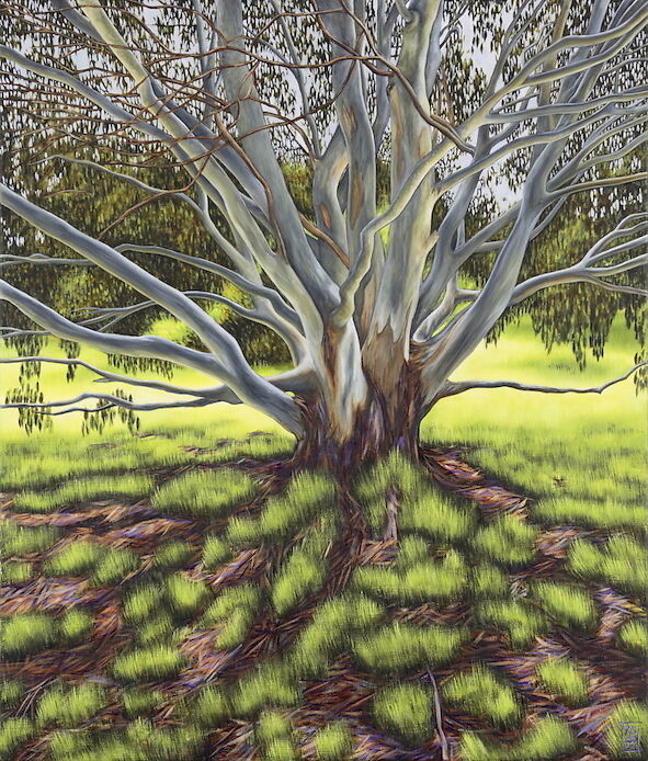 Karen Standke, Winter Shadows, Royal Park, 71 x 84cm, 2022, Oils on Linen