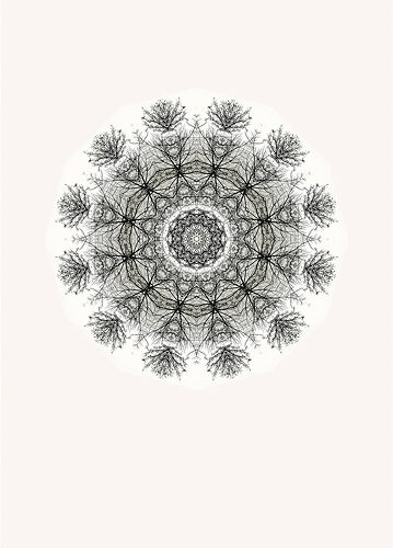 A New Dawn 3