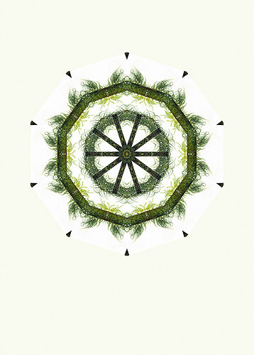Grass Wheel