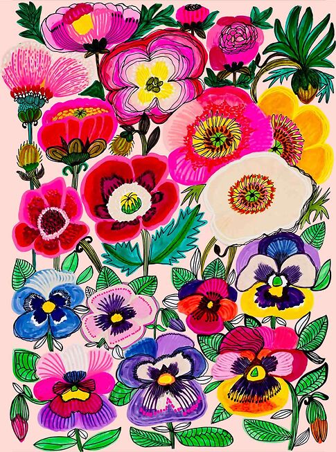 A2 PANSIES POPPIES BLUSH KATZ WEB