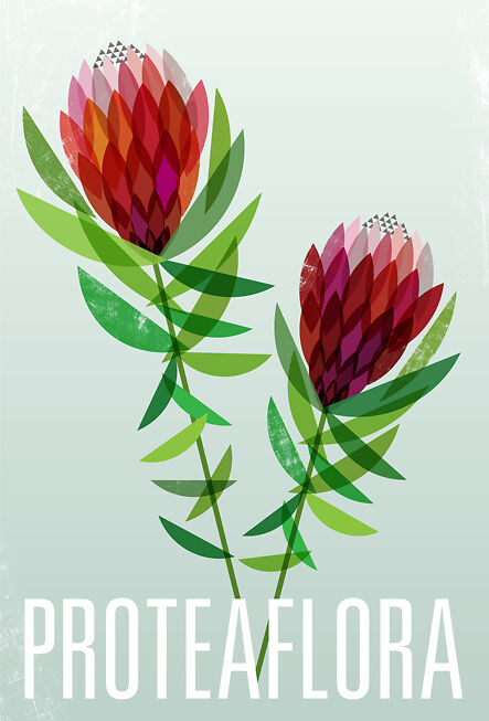 Protea Flora