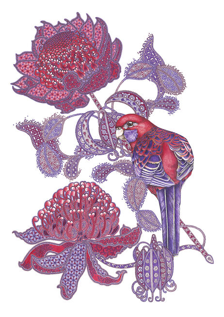 Mai Yazawa - Rosella On Waratah